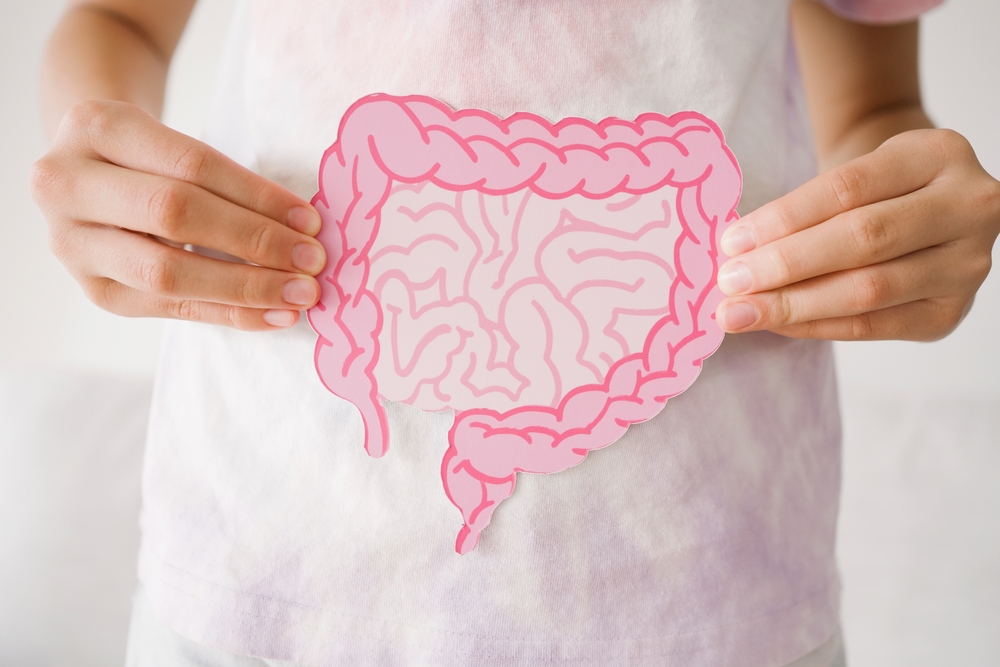 Preteen Girl Hands Holding Intestine Shape Healthy Bowel Digestion Leaky