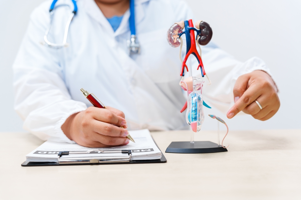 Adoctorwithsuspectedprostatecancerusingamalereproductive