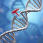 How Cancer Develops (Explained Simply)