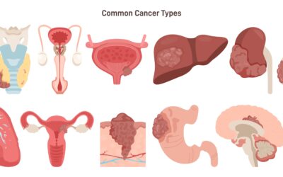 A General Overview of Cancer Types