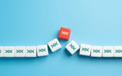 How Cells Repair DNA Damage