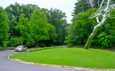 Cancer Treatment Centers in Arkansas