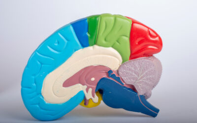 Pituitary Tumors: Symptoms, Causes, Stages & Treatment