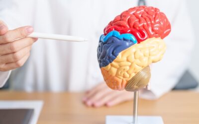 Early Signs & Symptoms of Brain Tumors (Primary Brain Cancer)