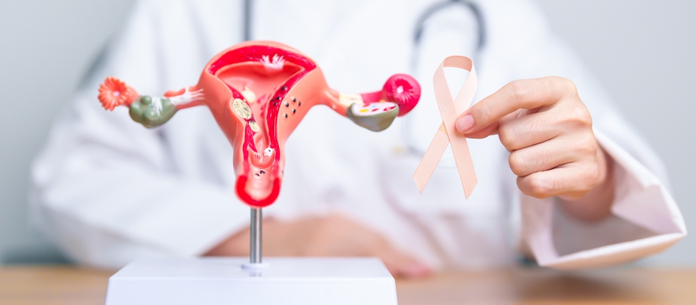 Doctor,Holding,Peach,Ribbon,With,Uterus,And,Ovaries,Model,For Doctor Holding Peach Ribbon With Uterus And Ovaries Model For