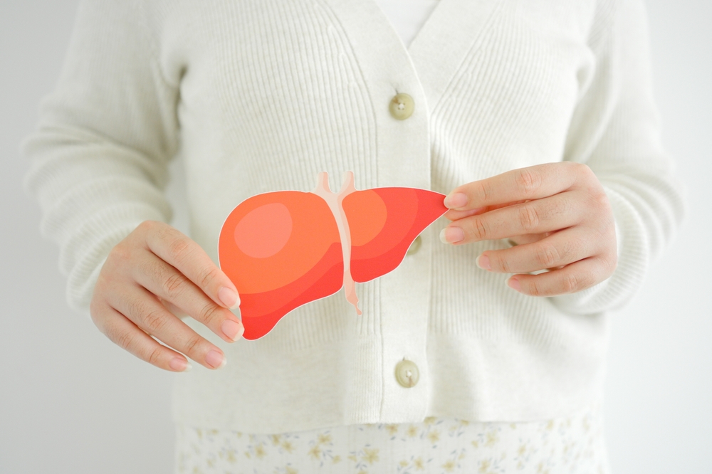 Woman Holding Healthy Liver Organ Donation Hepatitis Vaccination Liver Cancer