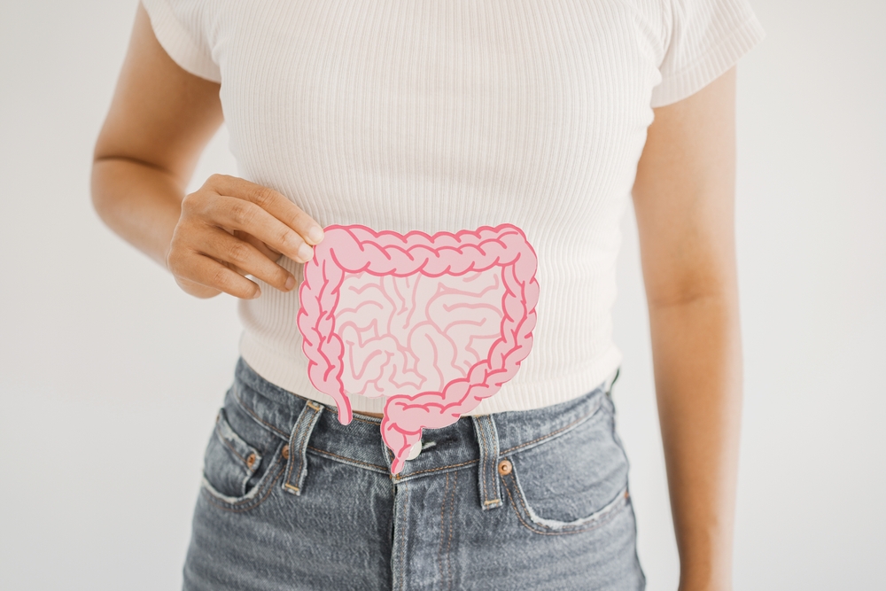 Hands Holding Intestine Shape Healthy Bowel Digestion Leaky Gut Probiotic